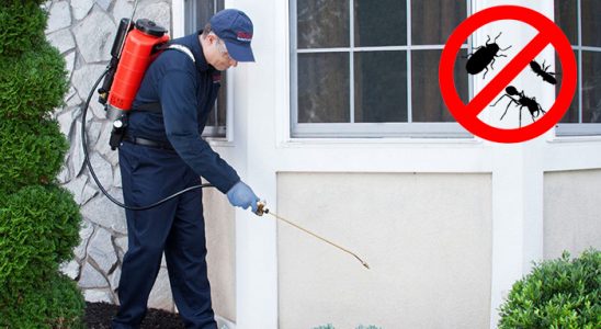 Adalar Gümüşkurt İlaçlama böcek ilaçlama ve haşere kontrolü — ilaclama-tr.com